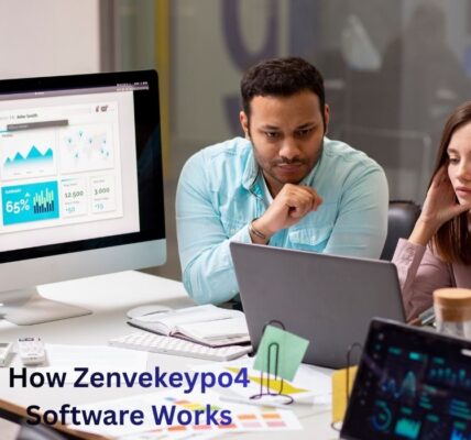 How Zenvekeypo4 Software Works